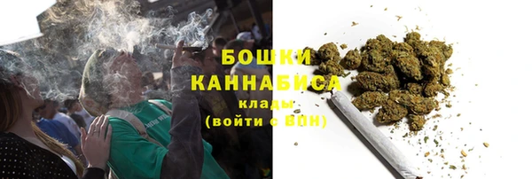 сатива Аркадак