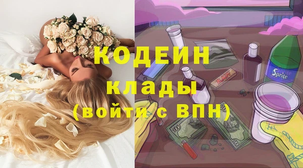 сатива Аркадак