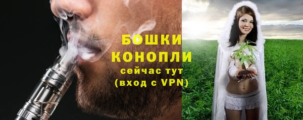 сатива Аркадак