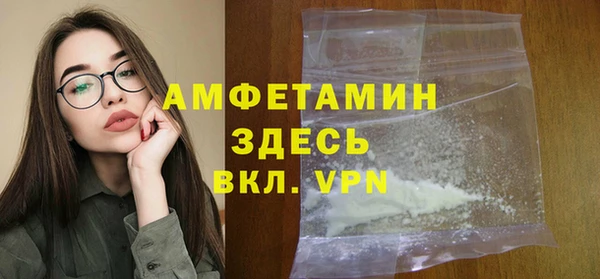 сатива Аркадак