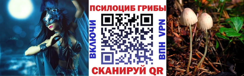 Купить  Туапсе  Галлюциногенные грибы GOLDEN TEACHER 